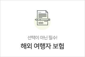 해외 여행자 보험